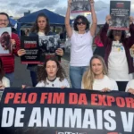 Exportação de Animais Vivos