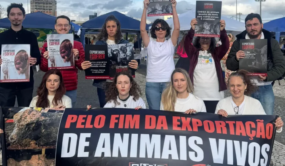 Exportação de Animais Vivos