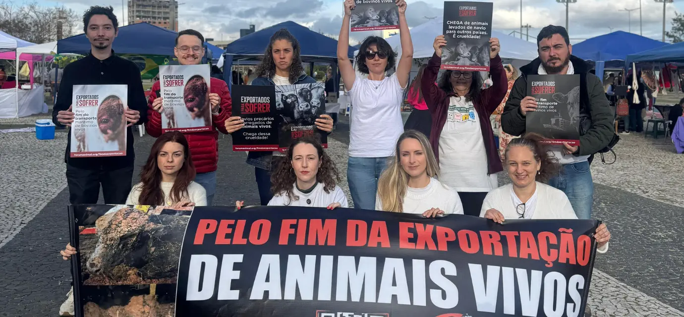 Exportação de Animais Vivos